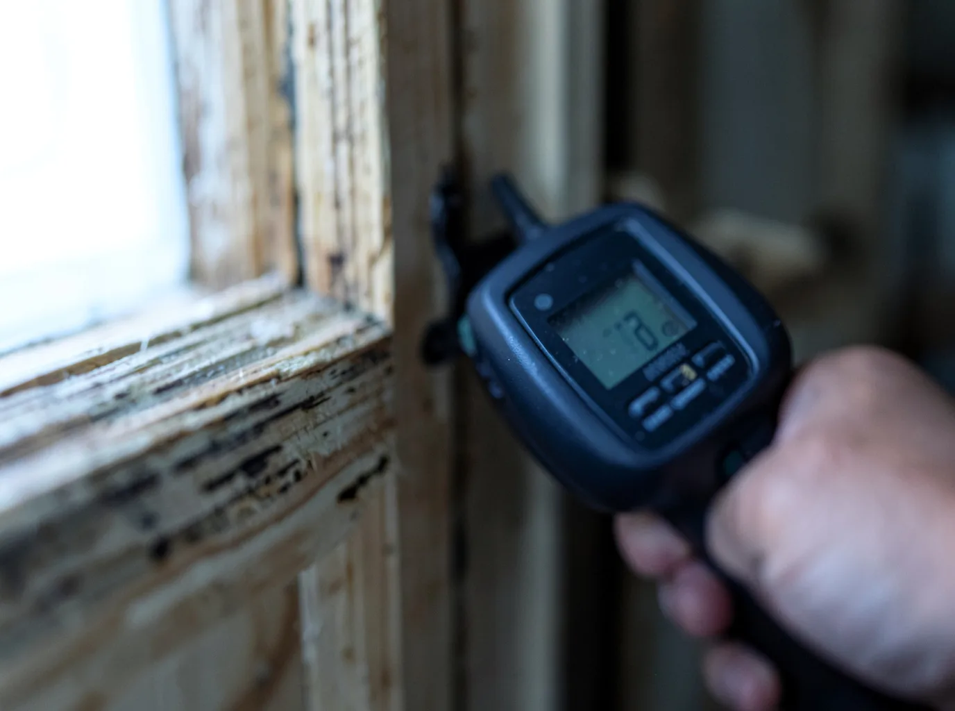 Moisture Inspection And Documentation in Amherst, CO